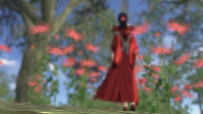 究竟怎么学习IOS 开发啊？